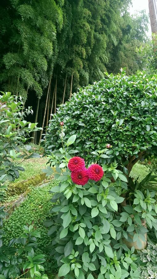 Cuiti B&B 奮起湖 エクステリア 写真